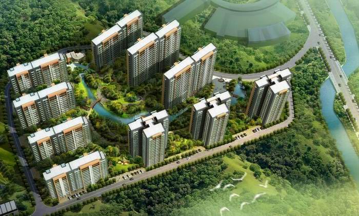 2024新澳门原料网大全62185
