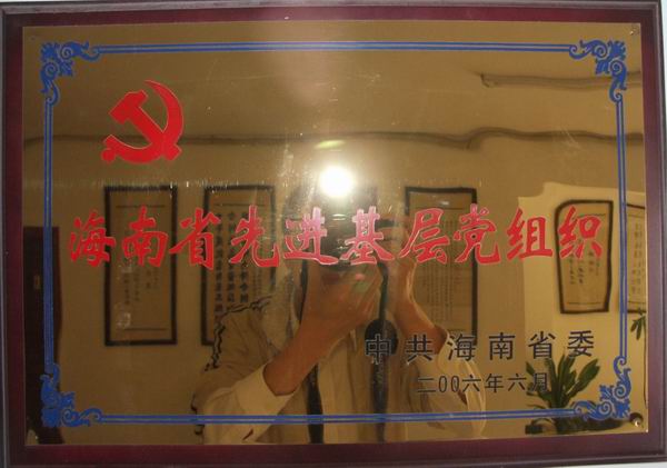 2024新澳门原料网大全62185